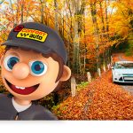 confortauto-consejos-otoño-19-nico