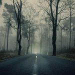 conduce seguro con niebla