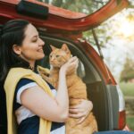 Viajar con gatos en el coche
