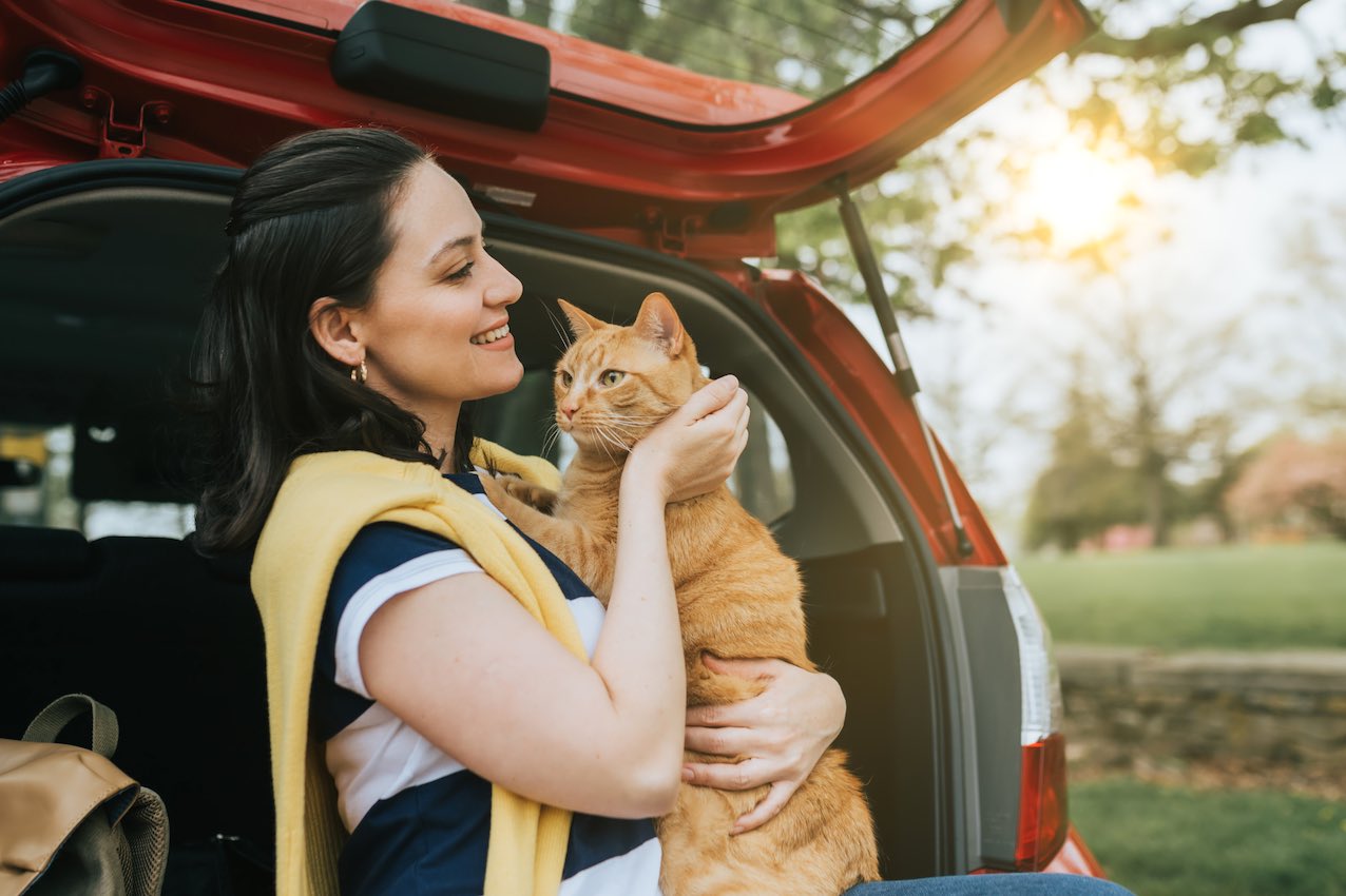 Viajar con gatos en el coche