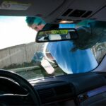 como limpiar mosquitos del coche