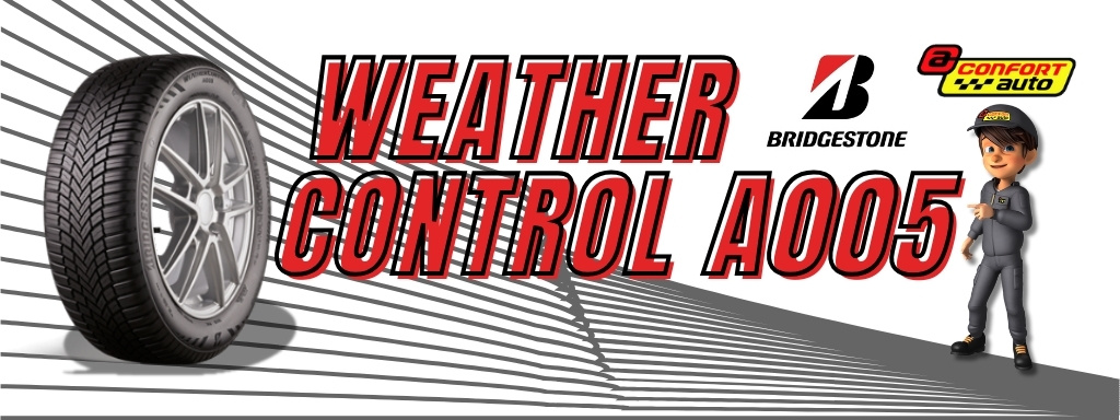 Neumático cuatro estaciones Bridgestone
